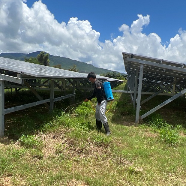 友達恆春大平頂噴藥 友達恆春大平頂噴藥